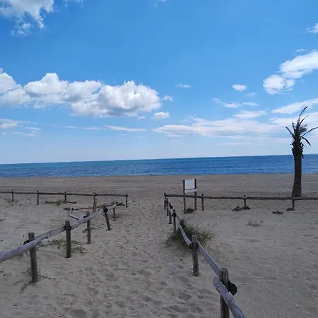 Le Palm Vue * Le Barcarès